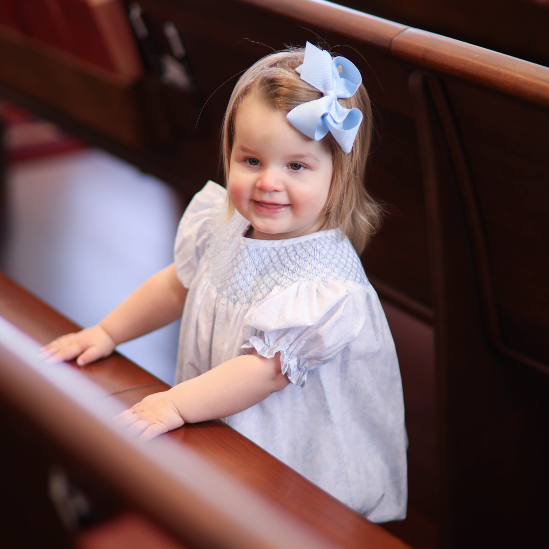 Blue Bunny Toile Smocked Bubble
