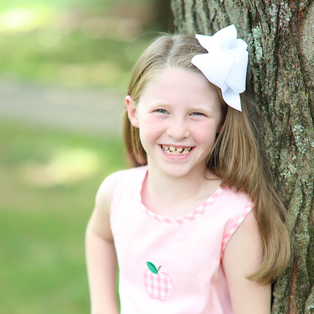 Pink Gingham Apple Appliqué Dress