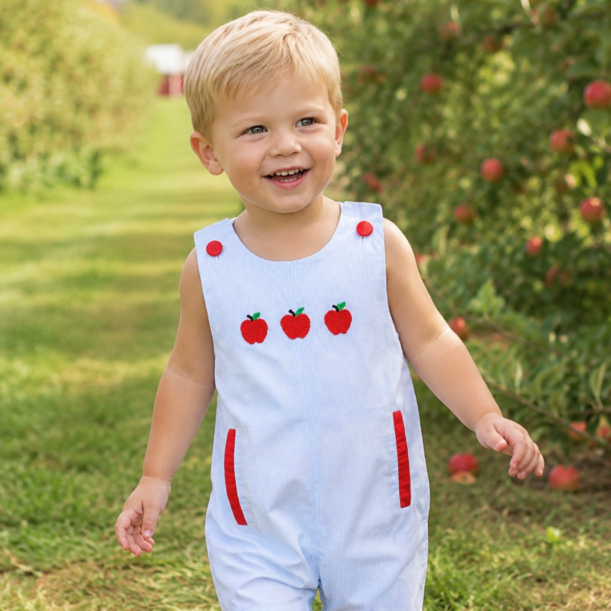 Vintage Apple French Knot Boys Shortall