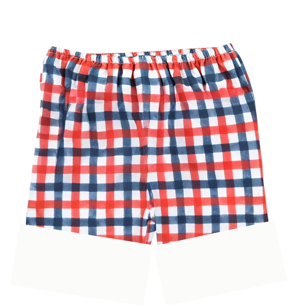 Boys Patriotic Red & Blue Gingham Shorts