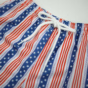 Boys Patriotic Swim Trunks