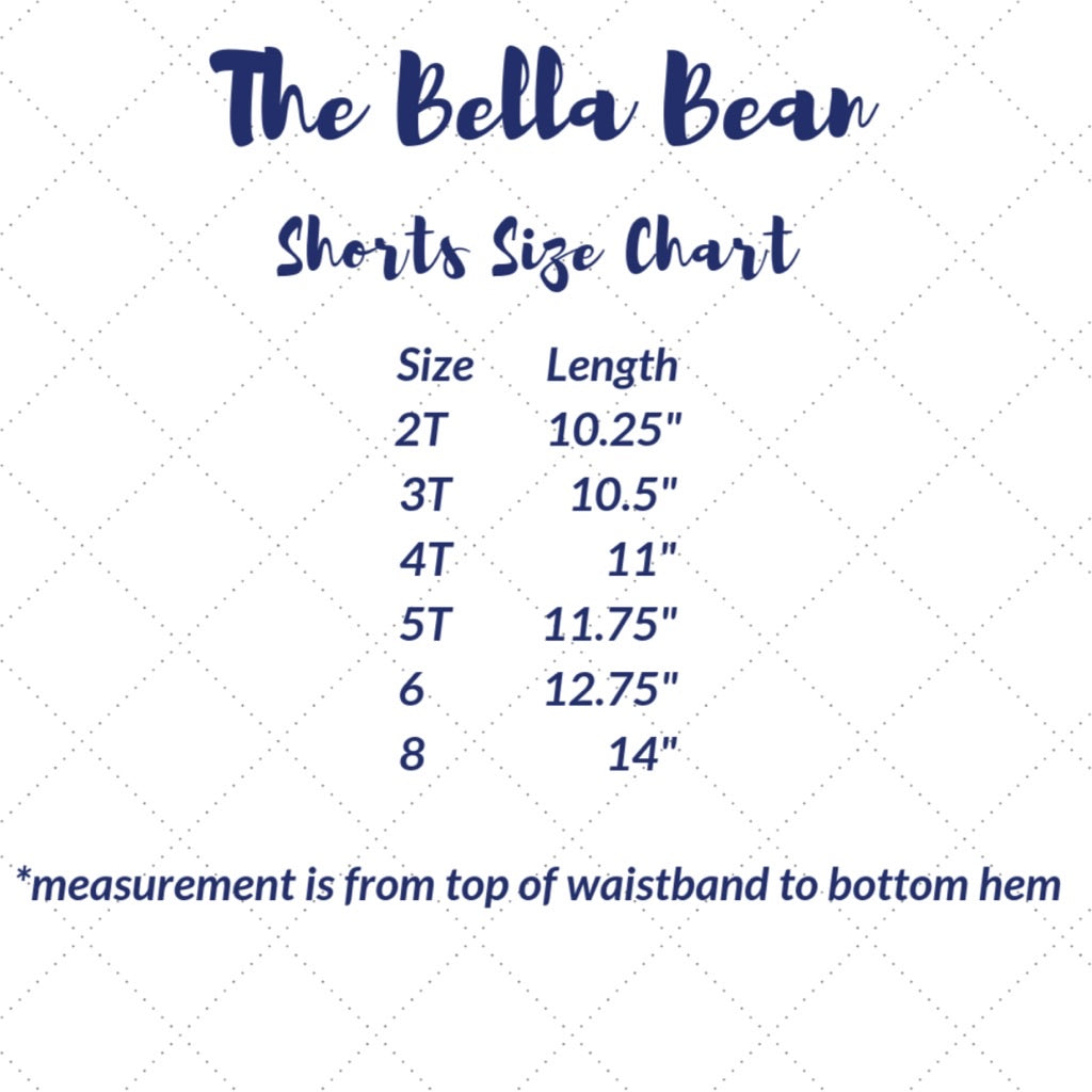 Aaron Red Gingham Shorts