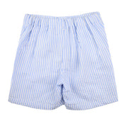 Baby Blue Seersucker Boys Shorts