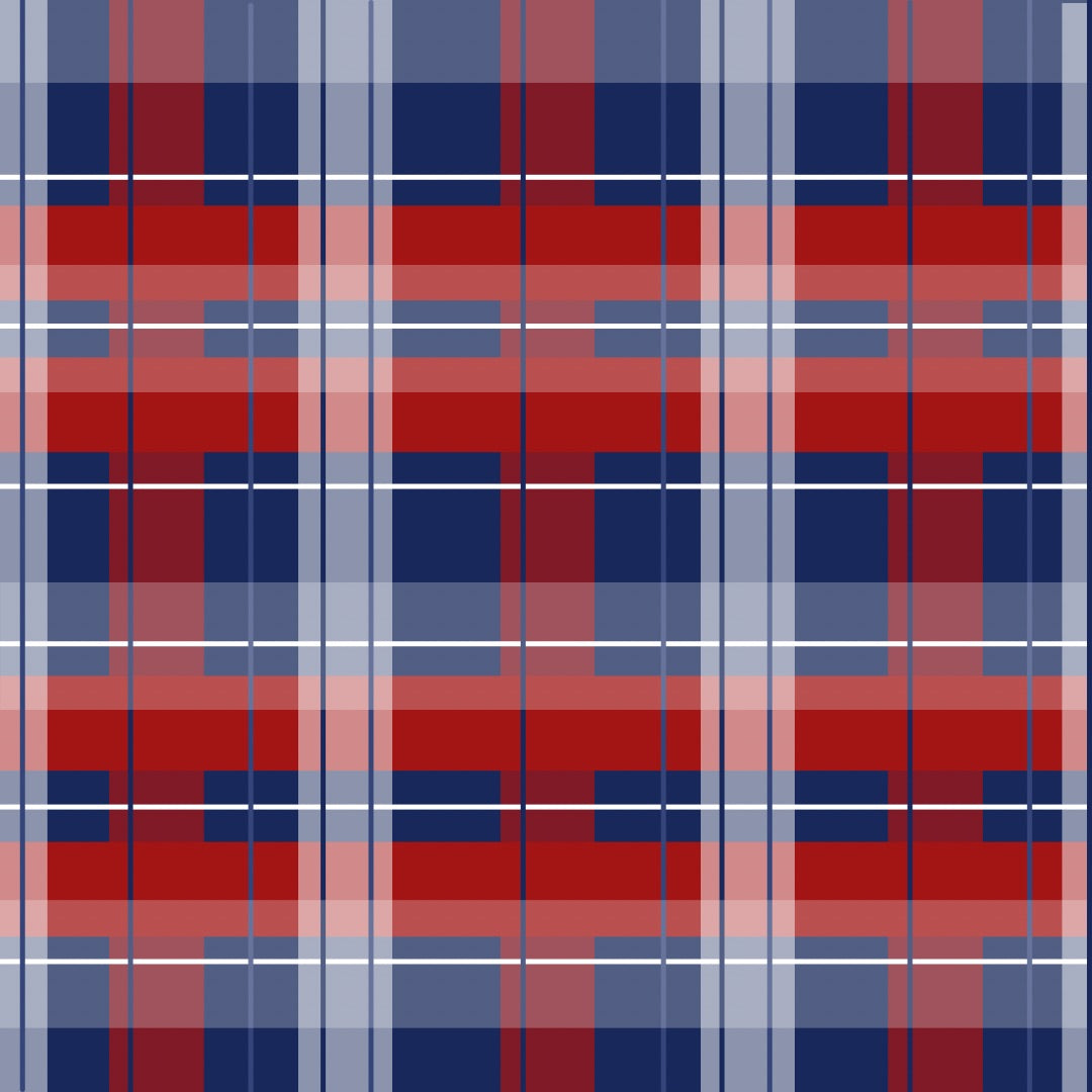 Primary Plaid Bow Top