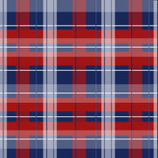 Primary Plaid Backpack